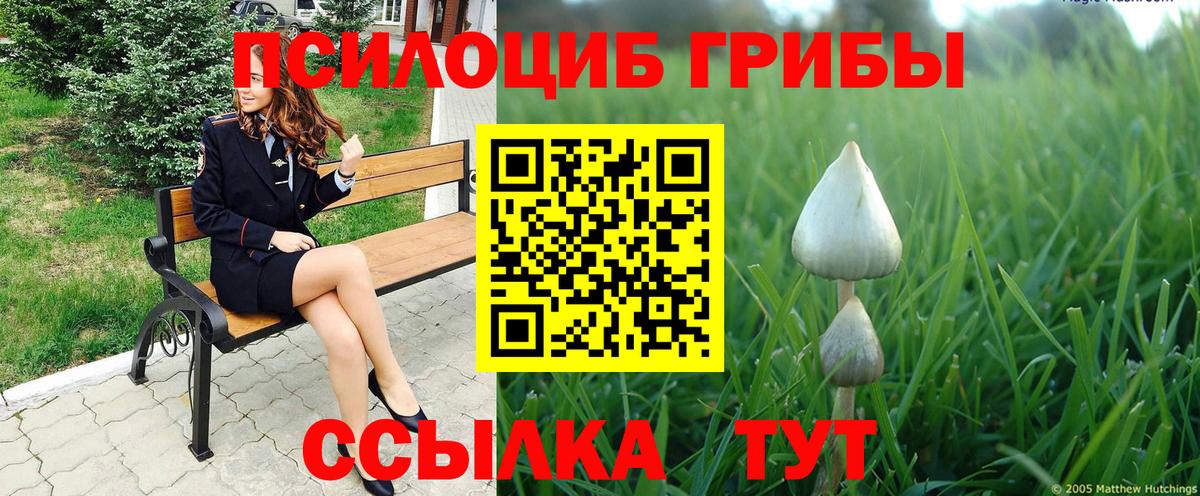 Канабис  Ачхой-Мартан  НБОМе  Меф МЯУ МЯУ   Cocaine  МЕТАМФЕТАМИН  Вход с VPN 