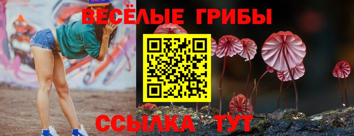 Псилоцибиновые грибы мухоморы Ачхой-Мартан