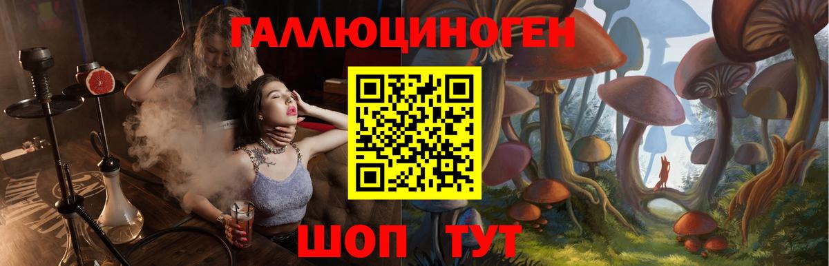 Ачхой-Мартан  наркотики  Вход с VPN  Галлюциногенные грибы GOLDEN TEACHER 
