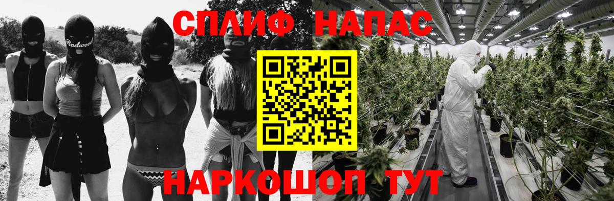 Марихуана план  Ачхой-Мартан  Марихуана тримм  Бошки марихуана гибрид 